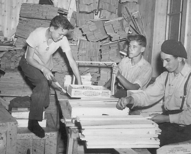 Adolescents travaillant à assembler des  boîtes d'emballage de poisson en Gaspésie
