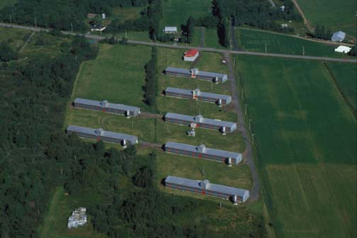 Vue aérienne de plusieurs bâtiments servant à l'élevage des volailles à St-Nicolas dans la région de Chaudière-Appalaches, 2001