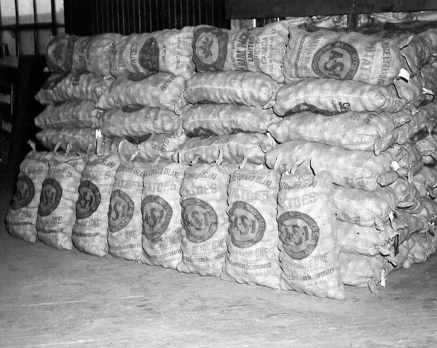 Pommes de terre en entreposage à la Coopérative fédérée de Montréal en 1947