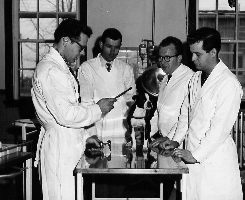 Étudiants pratiquant un examen médical sur un chien à l'École de médecine vétérinaire de St-Hyacinthe en 1961