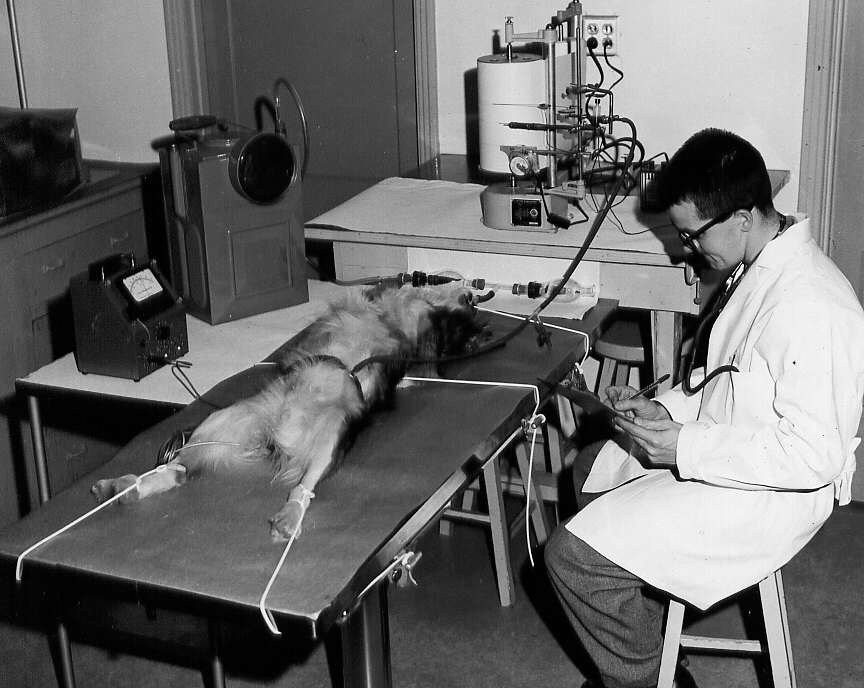 Laboratoires montrant le matériel destiné à la recherche physiologique sur les animaux à l'École de médecine vétérinaire de St-Hyacinthe en 1961(2)