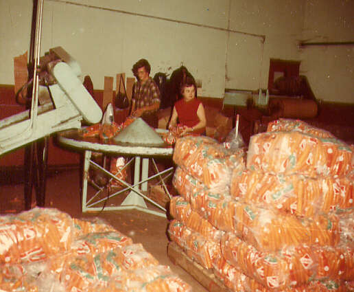 Travailleurs affectés à l'emballage des carottes