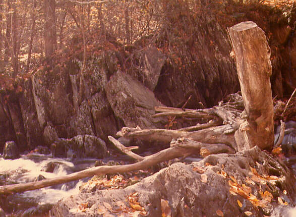 Petit ruisseau photographié l'automne, 1975