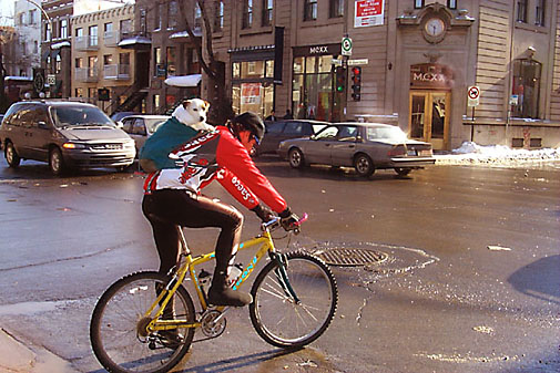 Un cycliste en hiver sur la rue Saint-Denis à Montréal